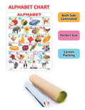 Dreamland Publications Educational Chart for Kids - Alphabet - Distacart