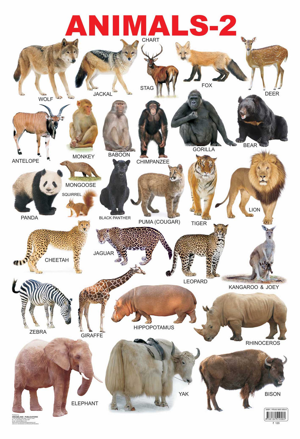 Dreamland Publications Educational Chart for Kids - Animals-2 - Distacart