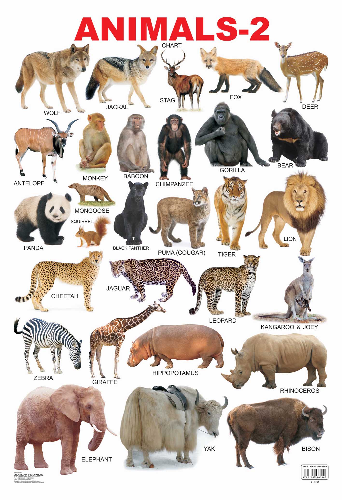Dreamland Publications Educational Chart for Kids - Animals-2 - Distacart