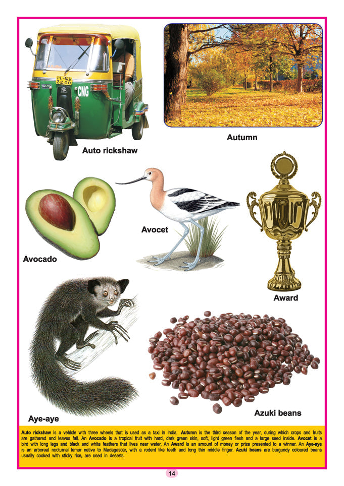 Dreamland Publications Kids Third Dictionary of 2000 words : Children Early Learning Book - Distacart