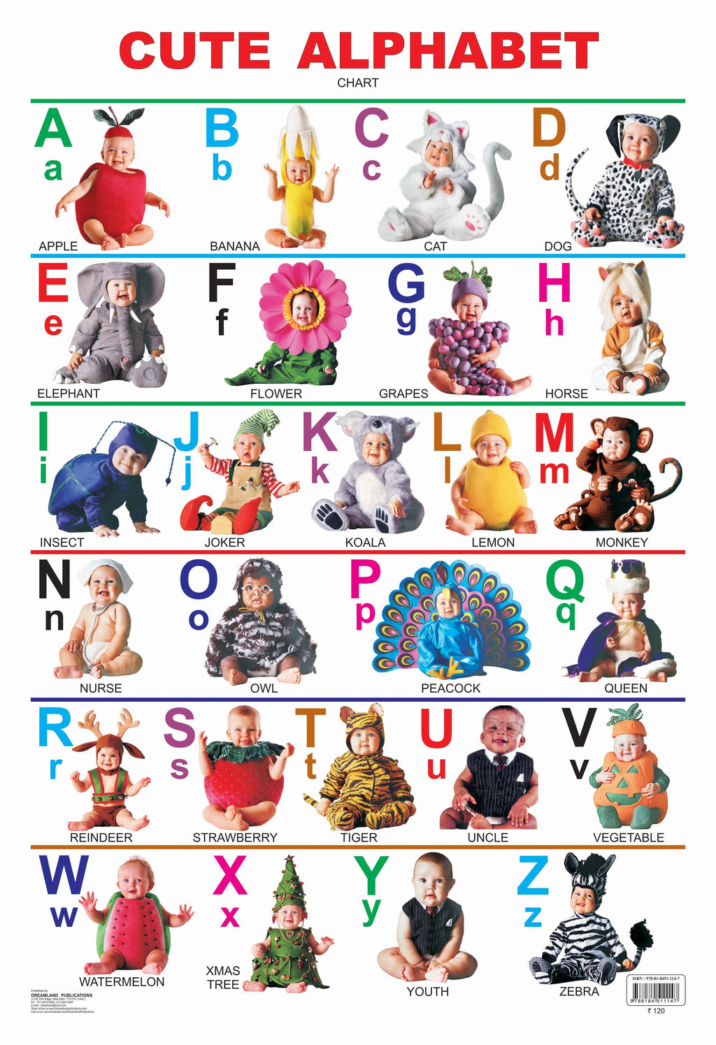 Dreamland Publications Educational Chart for Kids - Cute Alphabet - Distacart