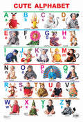 Dreamland Publications Educational Chart for Kids - Cute Alphabet - Distacart