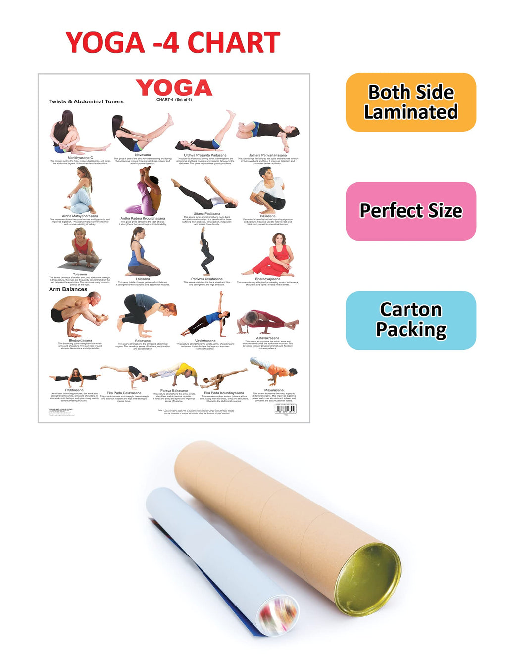 Dreamland Publications Educational Chart for Kids - Yoga Chart - 4 - Distacart
