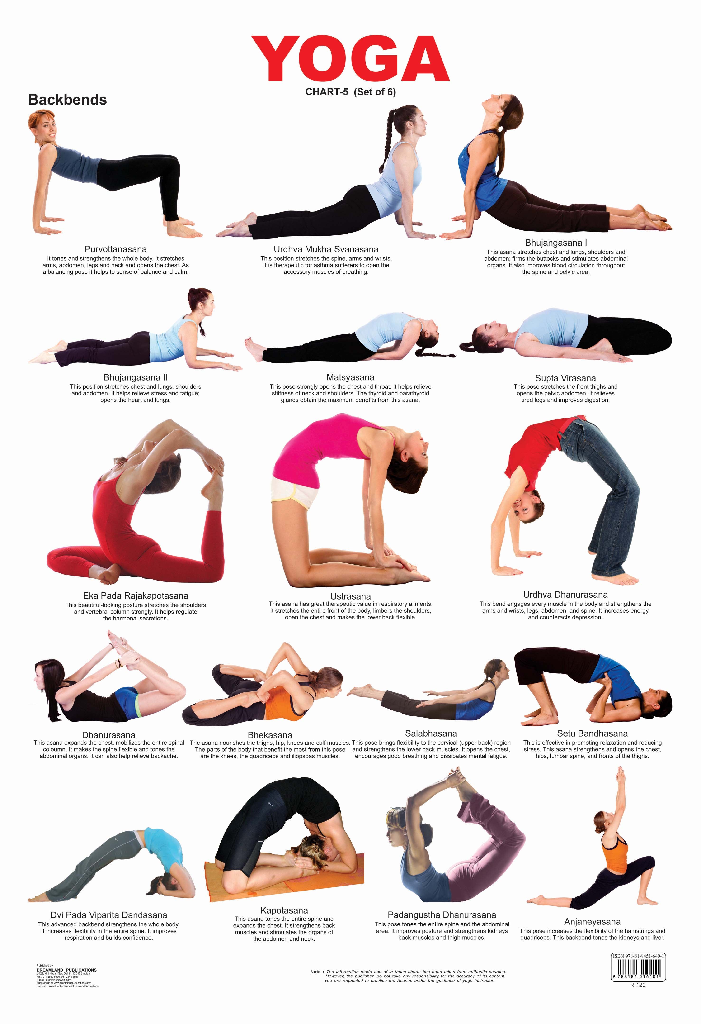 Dreamland Publications Educational Chart for Kids - Yoga Chart - 5 - Distacart