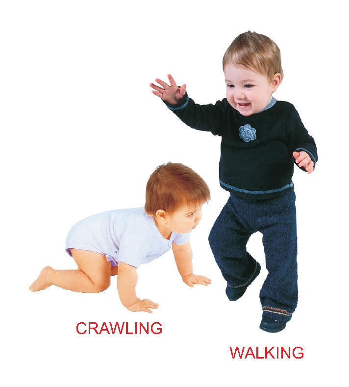 Dreamland Publications Kiddy Board Book - (10 Titels) Pack - Distacart