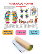 Dreamland Publications Educational Chart for Kids - Reflexology - Distacart