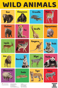 Wild Animals : Charts - Om Books - Distacart