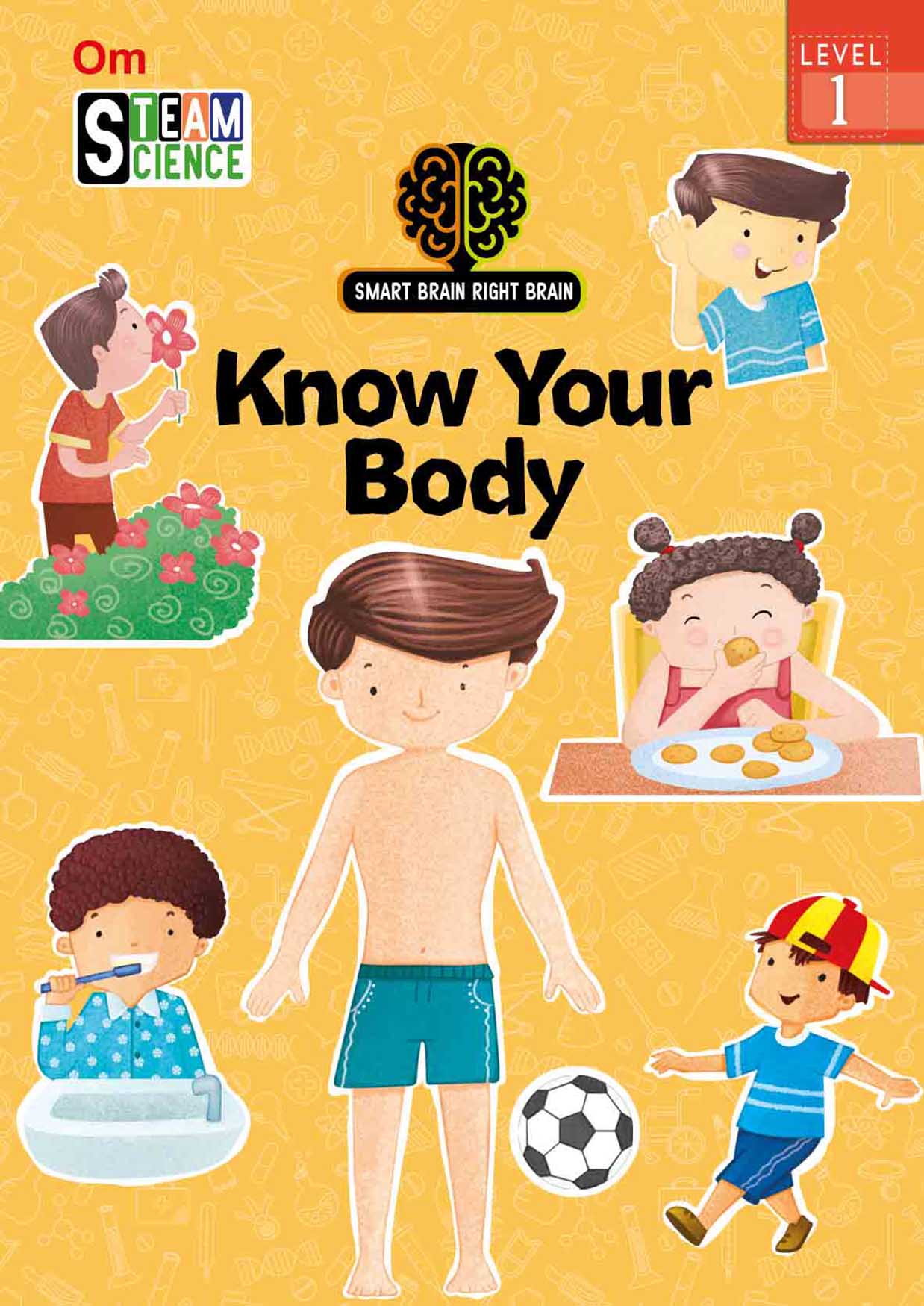 Smart Brain Right Brain Science Level 1 : Know Your Body - Om Books - Distacart
