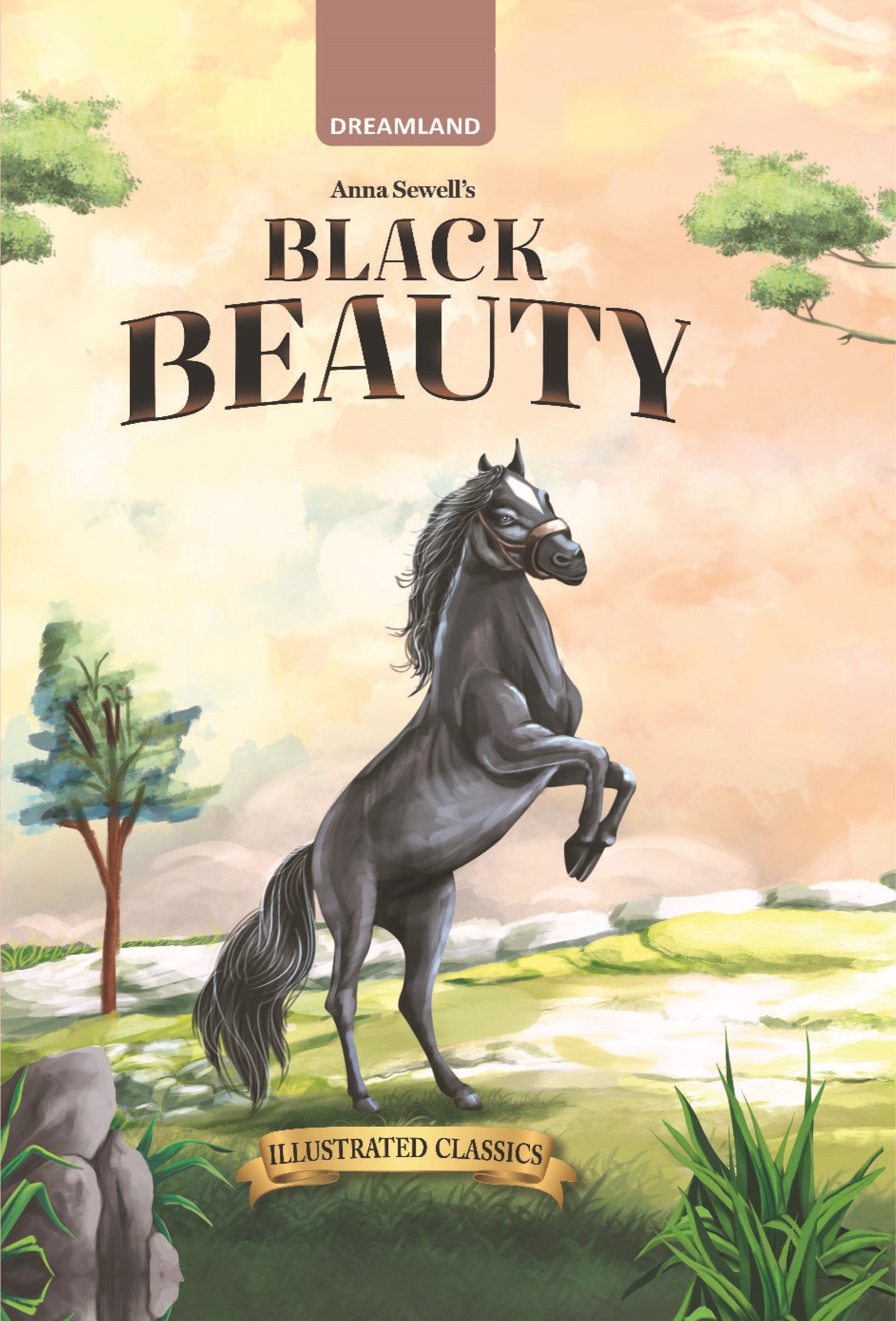 Dreamland Publications Black Beauty - Illustrated Abridged Classics for Children with Practice Questions - Distacart