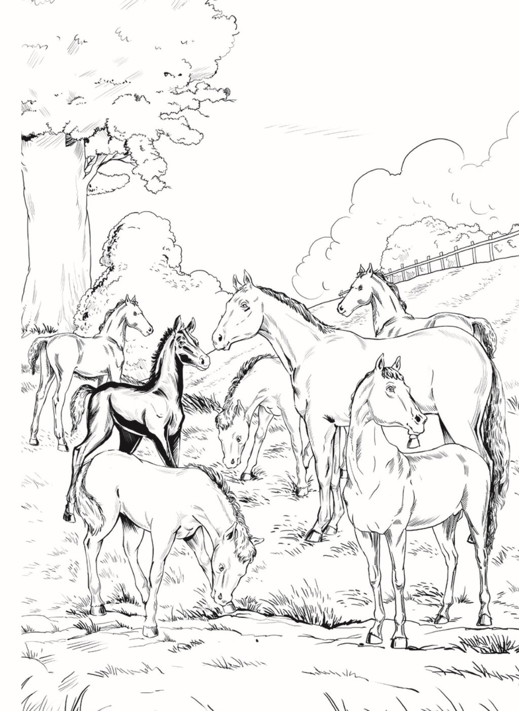 Dreamland Publications Black Beauty - Illustrated Abridged Classics for Children with Practice Questions - Distacart