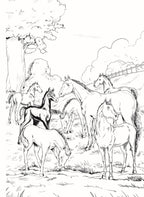 Dreamland Publications Black Beauty - Illustrated Abridged Classics for Children with Practice Questions - Distacart