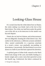 Dreamland Publications Through the Looking Glass - Illustrated Abridged Classics for Children with Practice Questions - Distacart