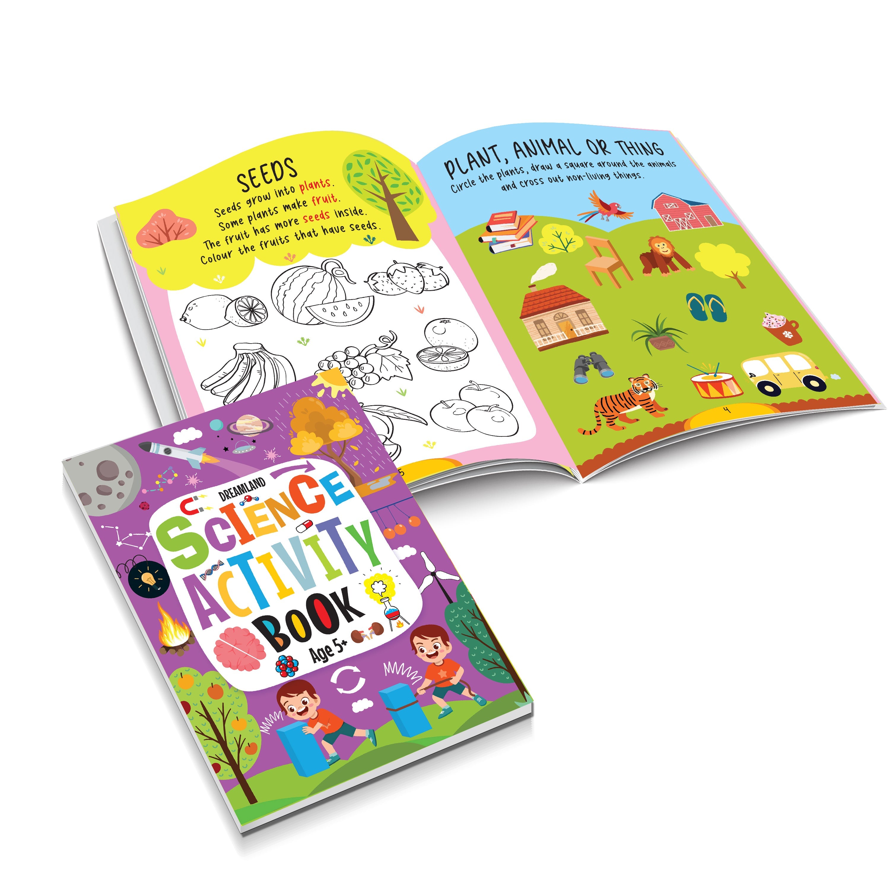 Dreamland Publications Science Activity Books Pack- A Set of 3 Books - Distacart