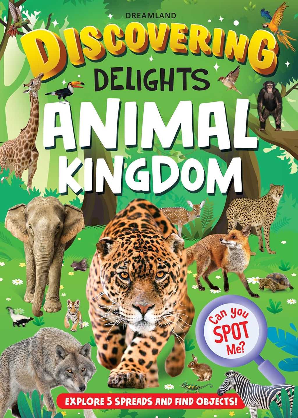 Dreamland Publications Discovering Delights Activity Book Pack for Kids Age 4 -10 years - A Set of 4 Books - Distacart