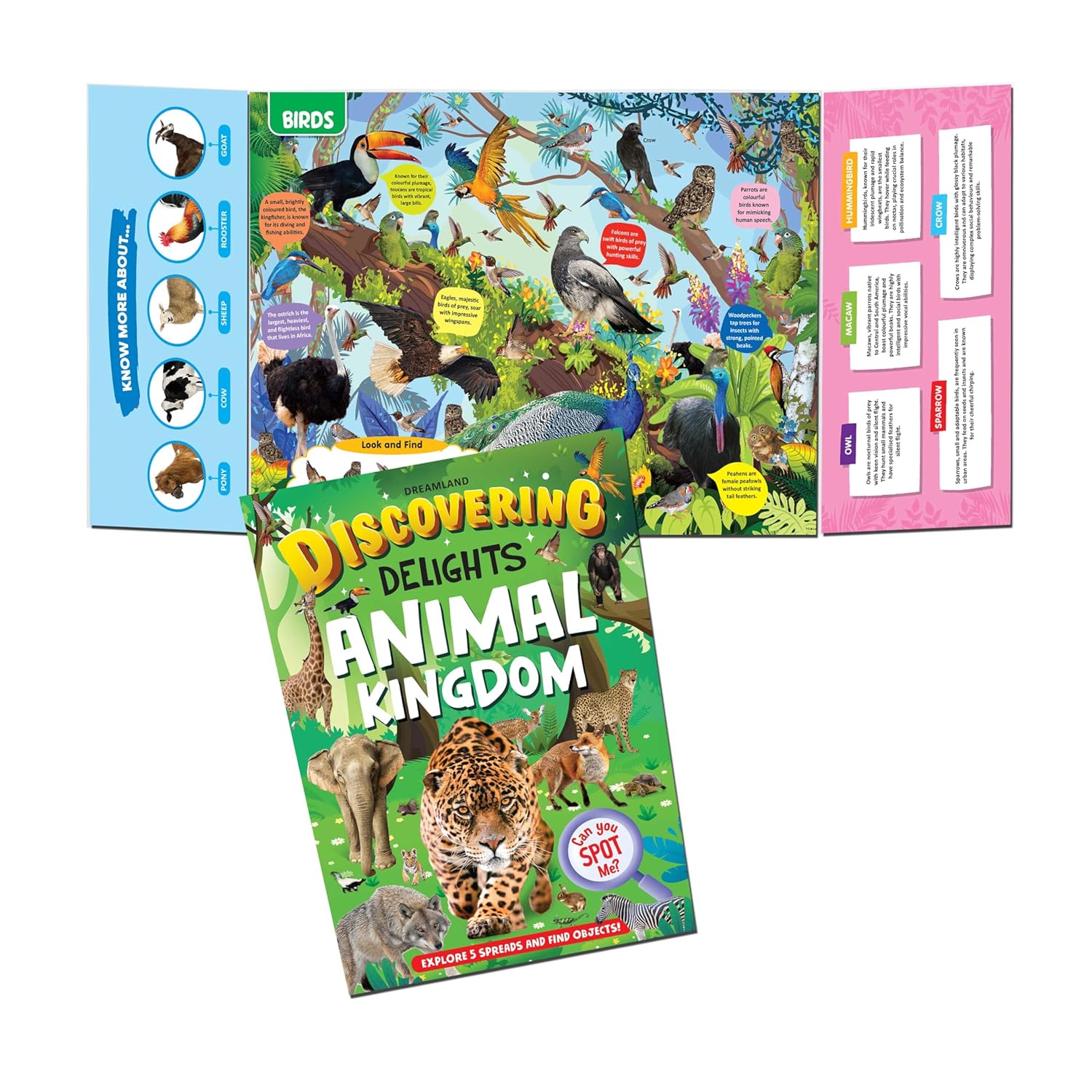 Dreamland Publications Discovering Delights Activity Book Pack for Kids Age 4 -10 years - A Set of 4 Books - Distacart
