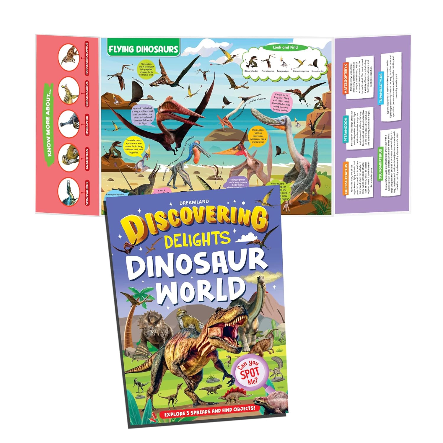 Dreamland Publications Discovering Delights Activity Book Pack for Kids Age 4 -10 years - A Set of 4 Books - Distacart
