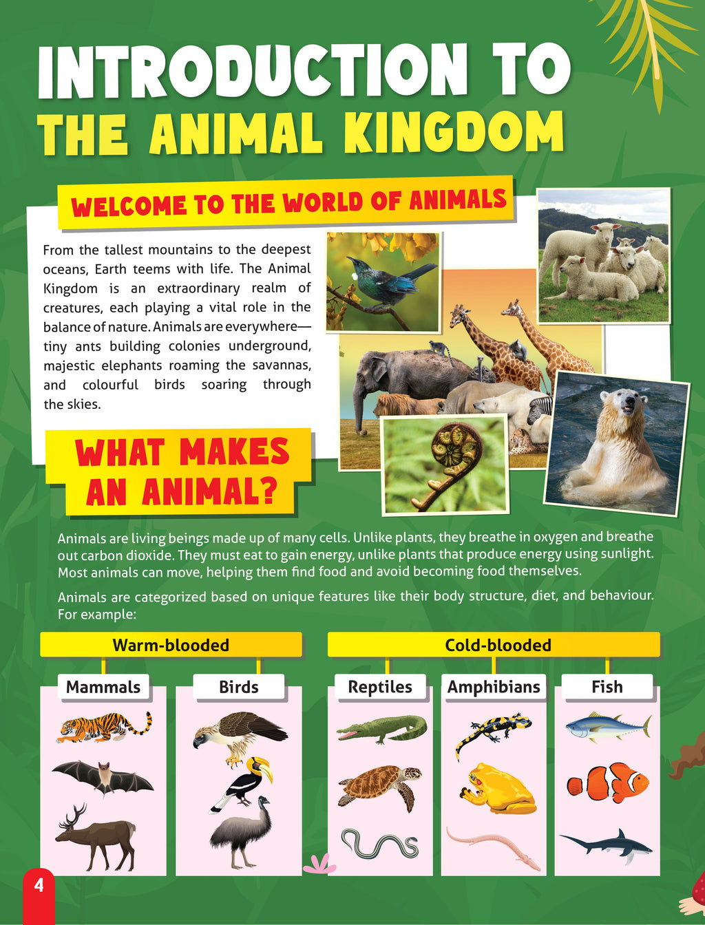 Dreamland Publications Junior Genius: Amazing Animals – A Fun-Filled Learning Book for Kids Age 7+ | Discover Incredible Creatures with Facts, Activities, and Puzzles - Distacart