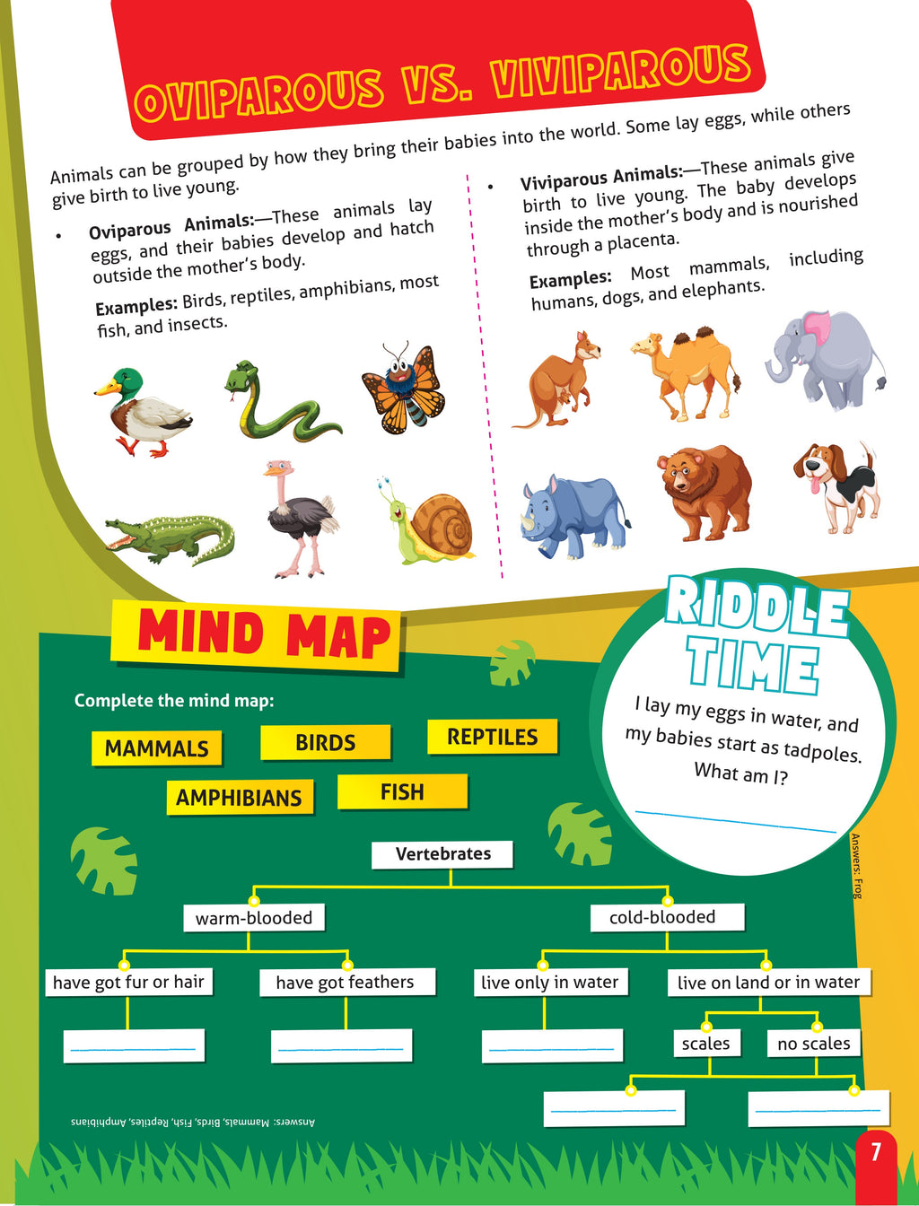 Dreamland Publications Junior Genius: Amazing Animals – A Fun-Filled Learning Book for Kids Age 7+ | Discover Incredible Creatures with Facts, Activities, and Puzzles - Distacart