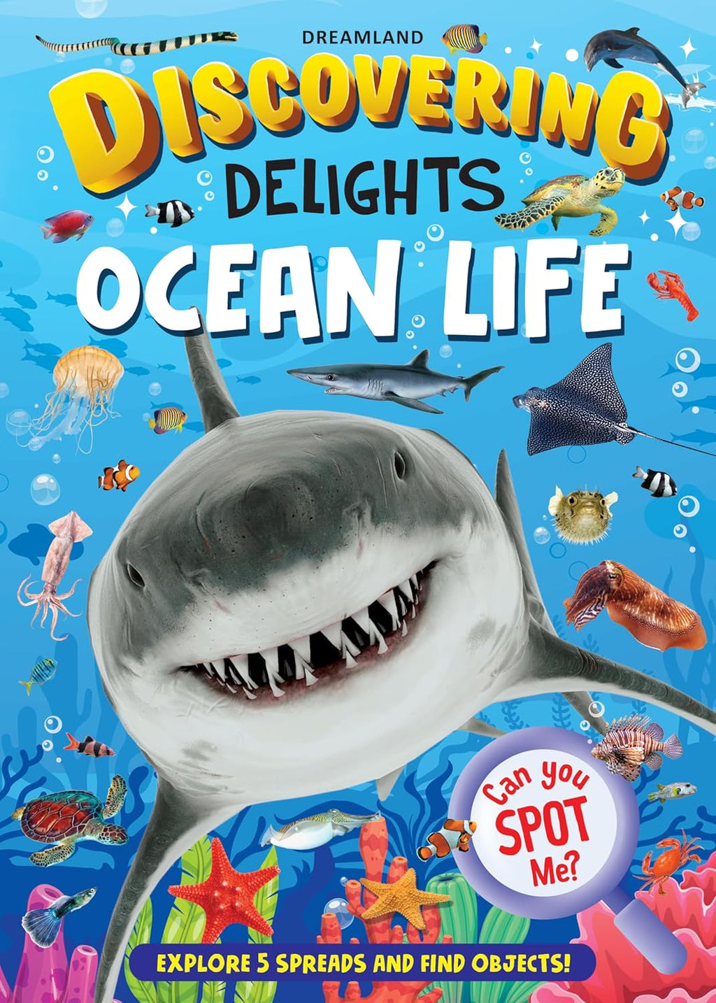 Dreamland Publications Ocean Life Discovering Delights Flap Book for Kids Age 4 - 10 years - Distacart