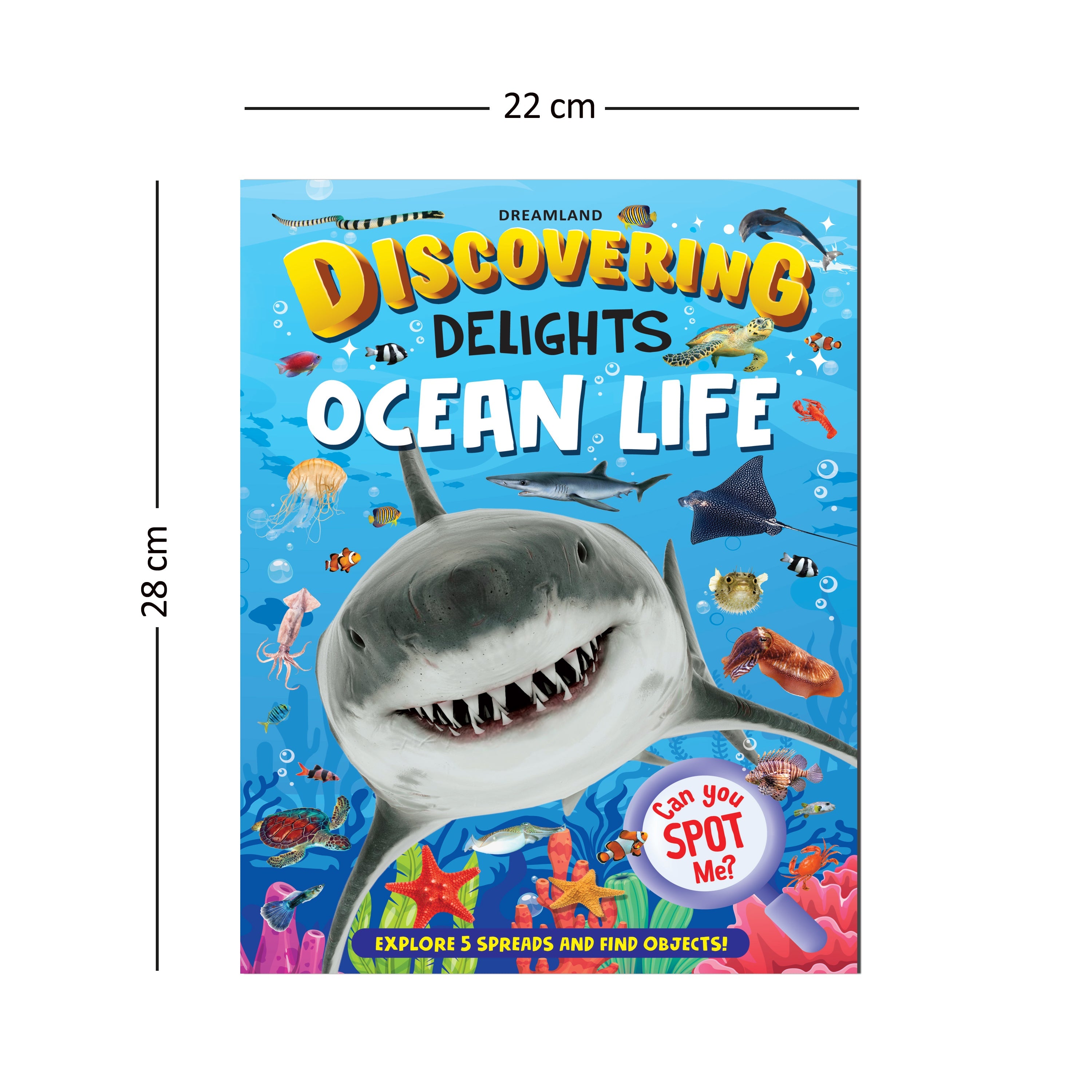 Dreamland Publications Ocean Life Discovering Delights Flap Book for Kids Age 4 - 10 years - Distacart