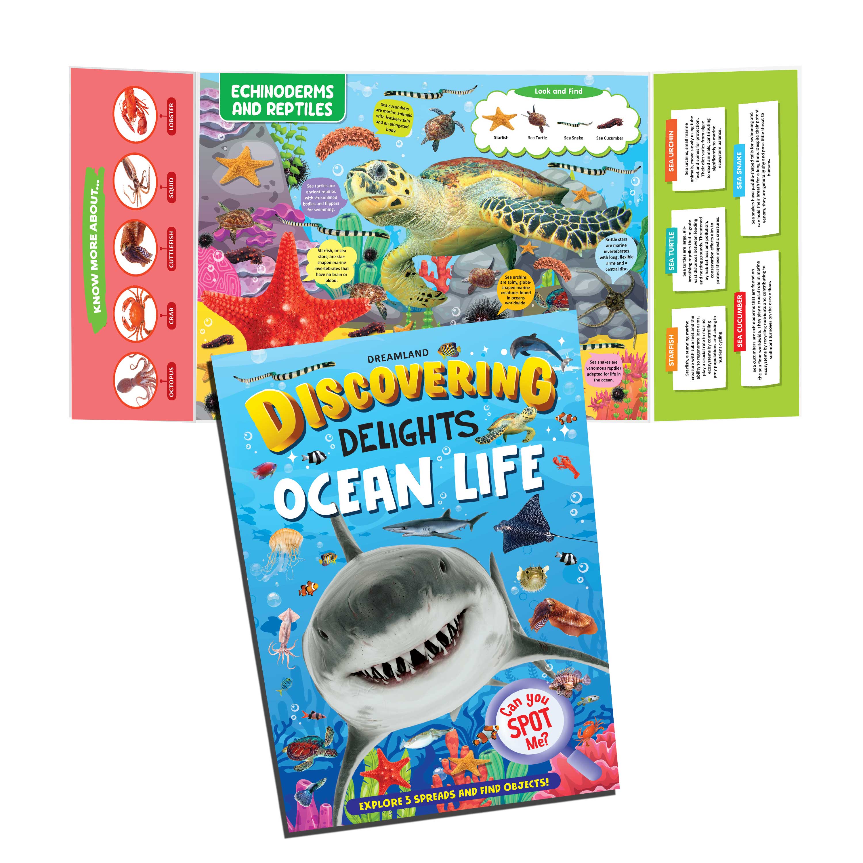 Dreamland Publications Ocean Life Discovering Delights Flap Book for Kids Age 4 - 10 years - Distacart