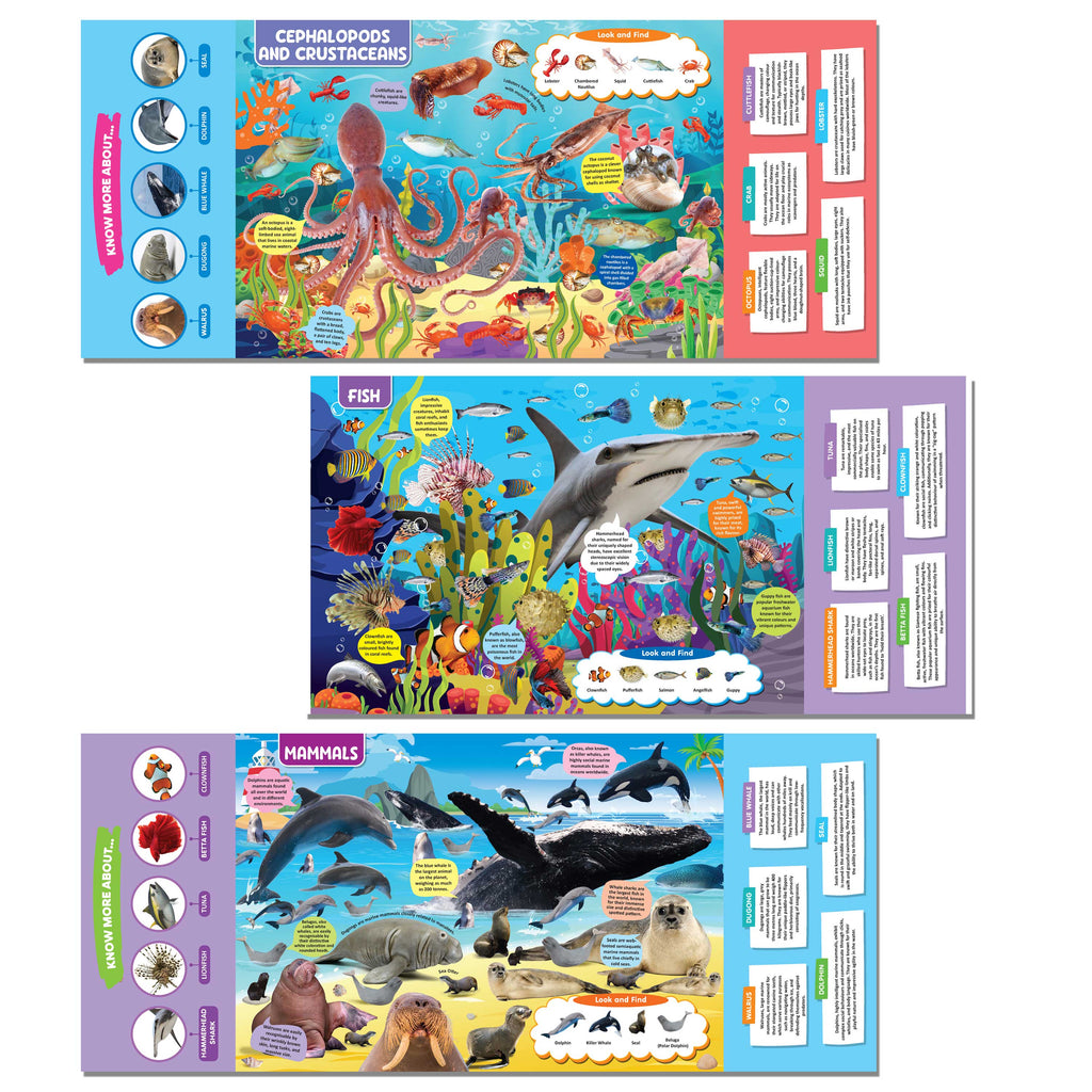 Dreamland Publications Ocean Life Discovering Delights Flap Book for Kids Age 4 - 10 years - Distacart