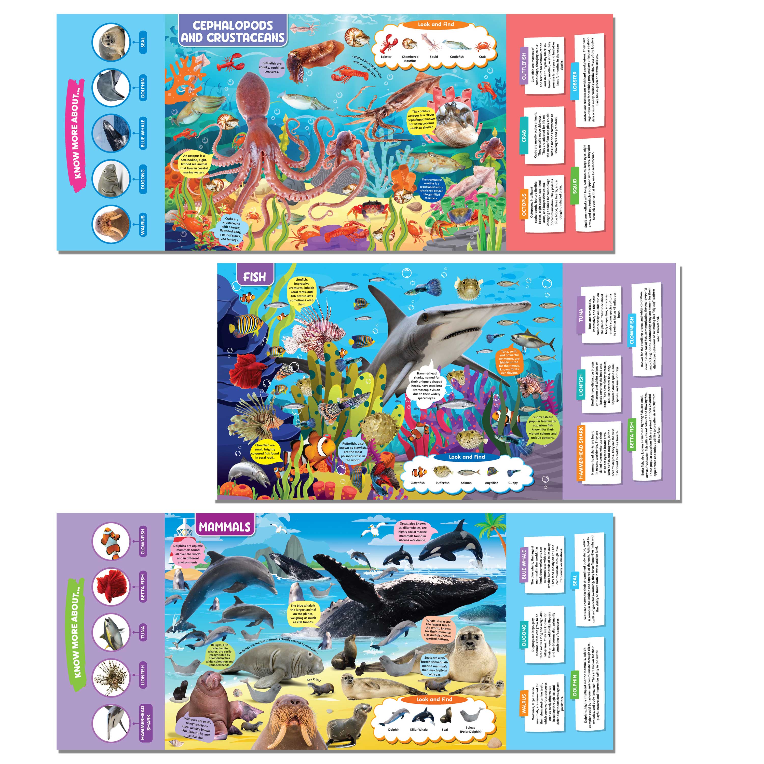 Dreamland Publications Ocean Life Discovering Delights Flap Book for Kids Age 4 - 10 years - Distacart