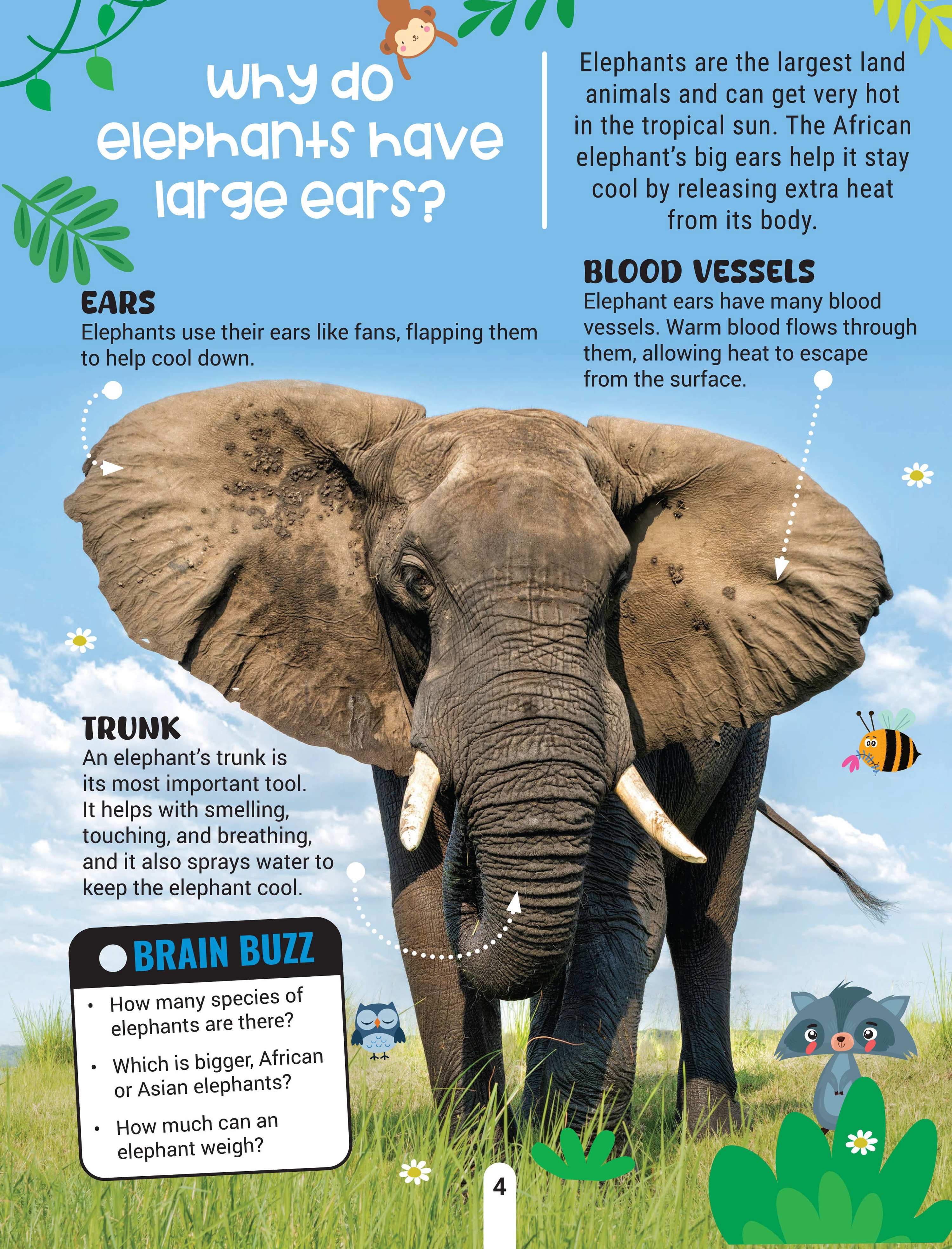 Dreamland Publications Factopedia Wild Wonders: A Fun Fact Book About Wildlife, Nature & Creatures for Kids Age 6+ - Distacart