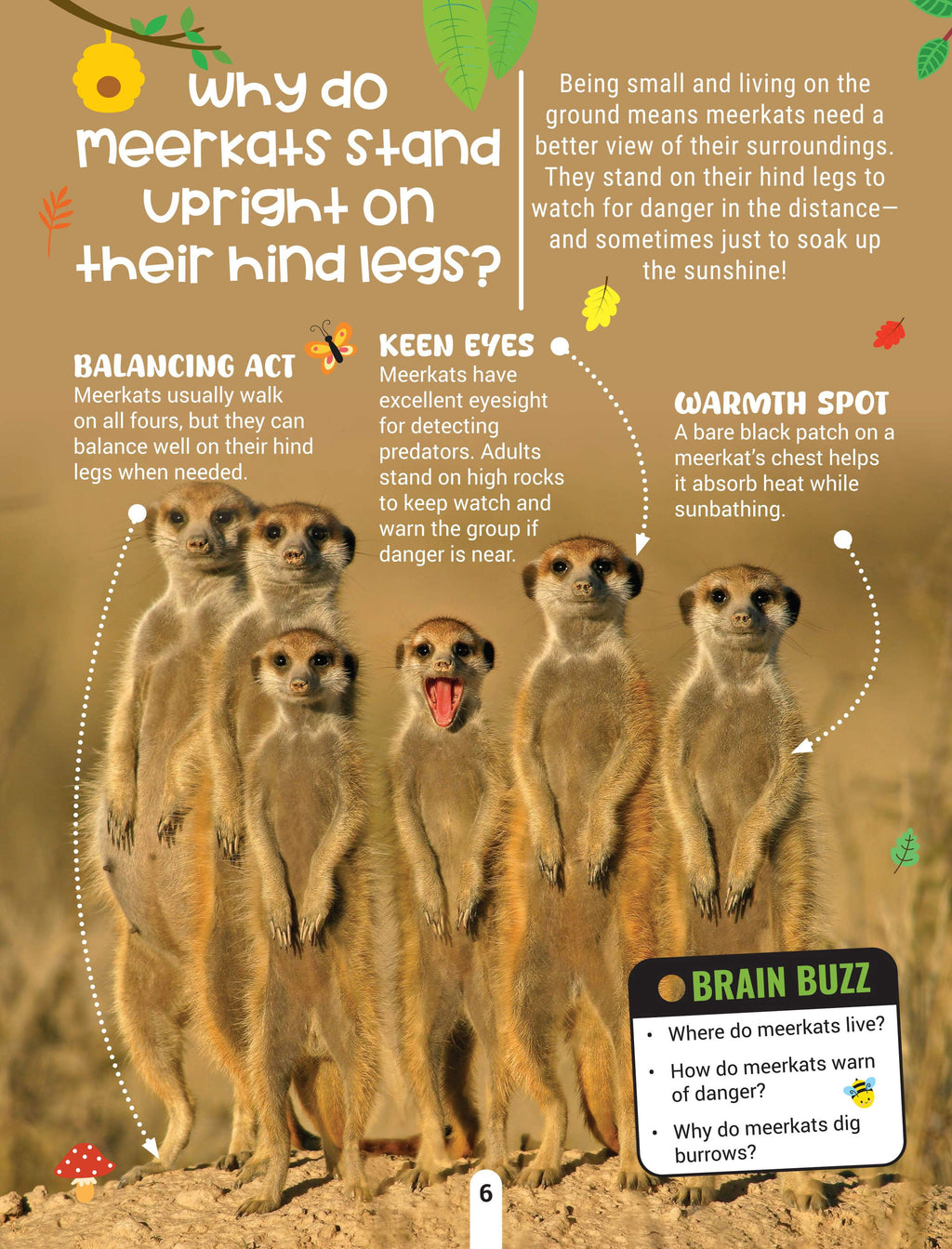 Dreamland Publications Factopedia Wild Wonders: A Fun Fact Book About Wildlife, Nature & Creatures for Kids Age 6+ - Distacart