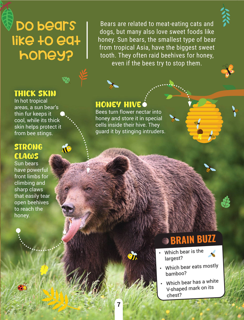 Dreamland Publications Factopedia Wild Wonders: A Fun Fact Book About Wildlife, Nature & Creatures for Kids Age 6+ - Distacart