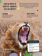 Dreamland Publications Factopedia Wild Wonders: A Fun Fact Book About Wildlife, Nature & Creatures for Kids Age 6+ - Distacart