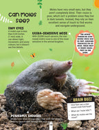 Dreamland Publications Factopedia Wild Wonders: A Fun Fact Book About Wildlife, Nature & Creatures for Kids Age 6+ - Distacart