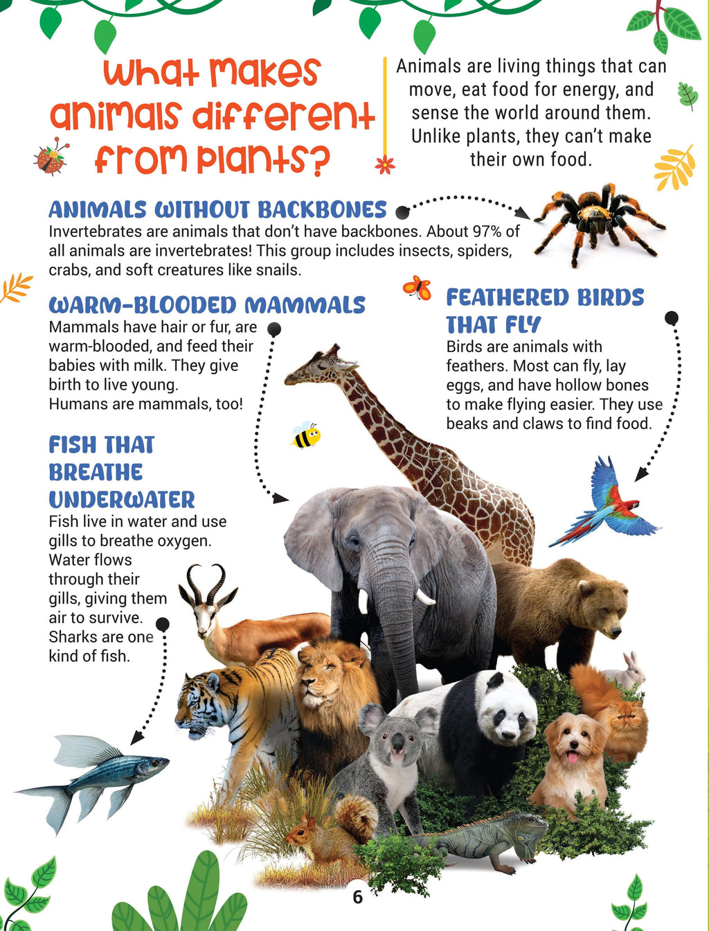 Dreamland Publications Factopedia Science Scoop: Incredible Science Facts for Kids Age 6+ - Distacart
