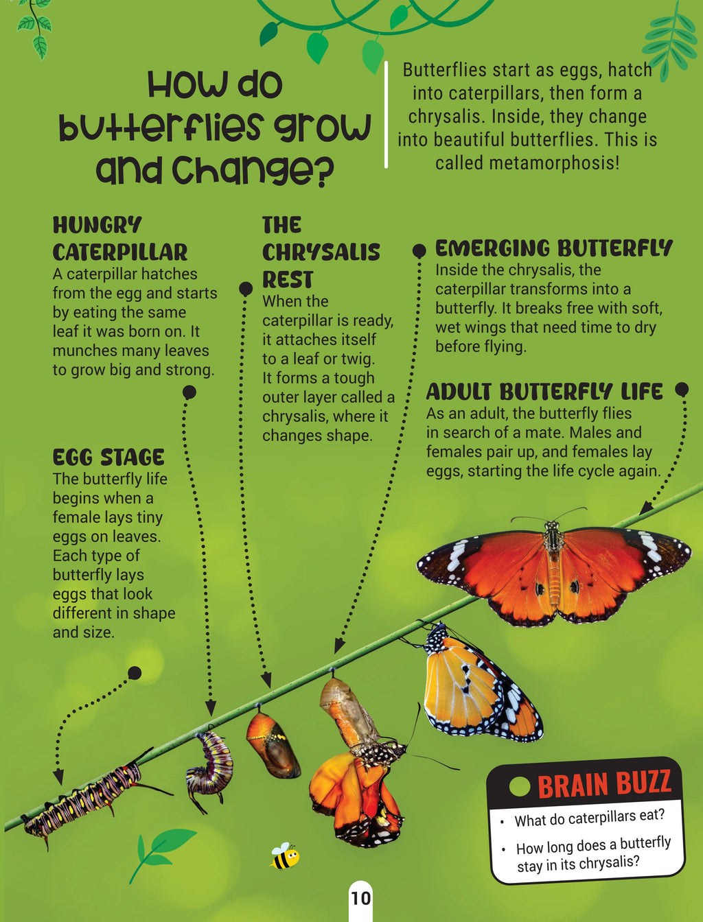 Dreamland Publications Factopedia Science Scoop: Incredible Science Facts for Kids Age 6+ - Distacart