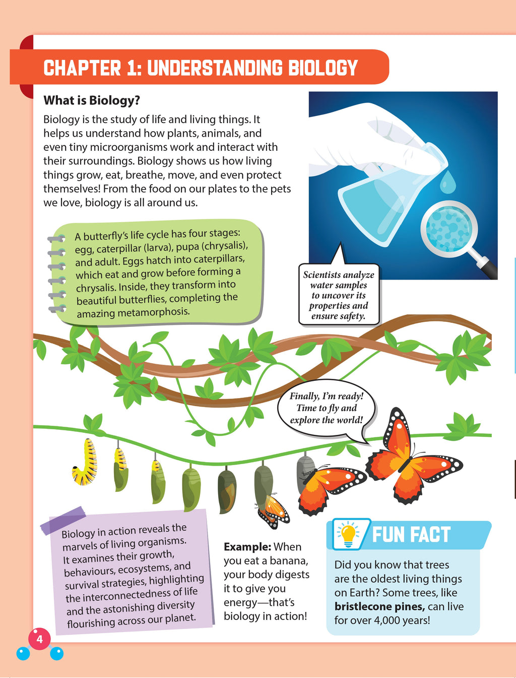 Dreamland Publications Everyday Wonders: Biology for Kids Age 6+ – Fun Facts and Exciting Activities About Living Things - Distacart