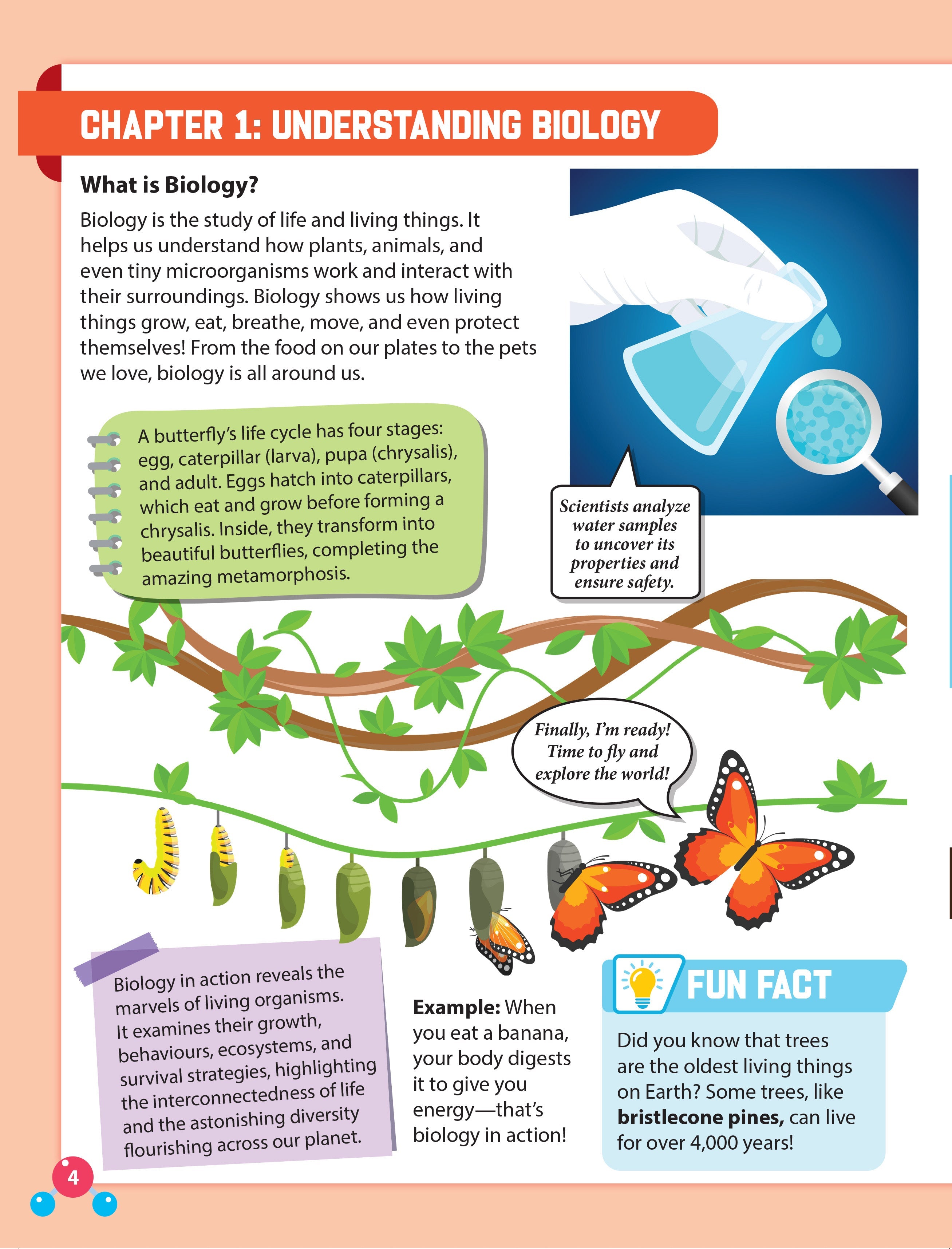 Dreamland Publications Everyday Wonders: Biology for Kids Age 6+ – Fun Facts and Exciting Activities About Living Things - Distacart