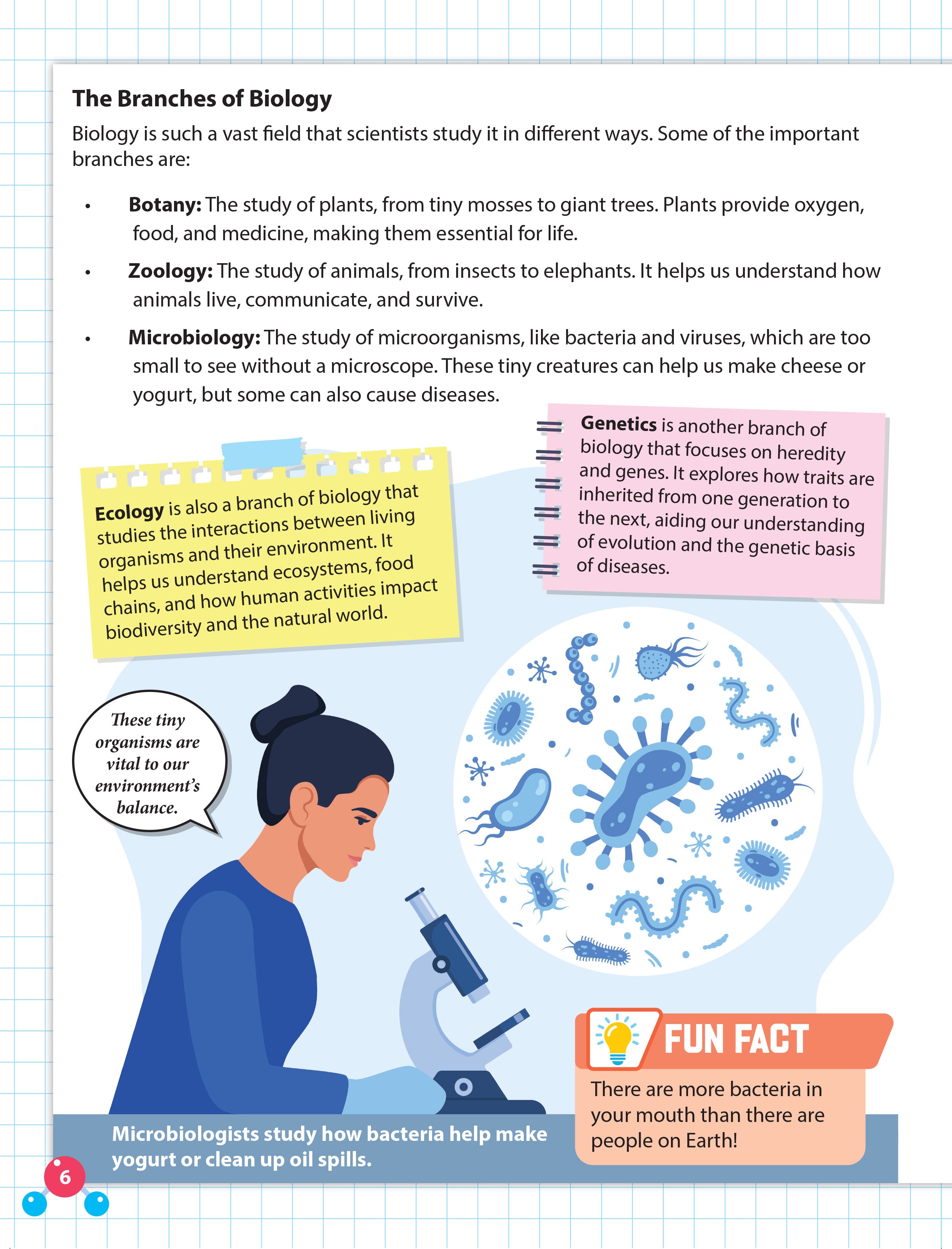 Dreamland Publications Everyday Wonders: Biology for Kids Age 6+ – Fun Facts and Exciting Activities About Living Things - Distacart