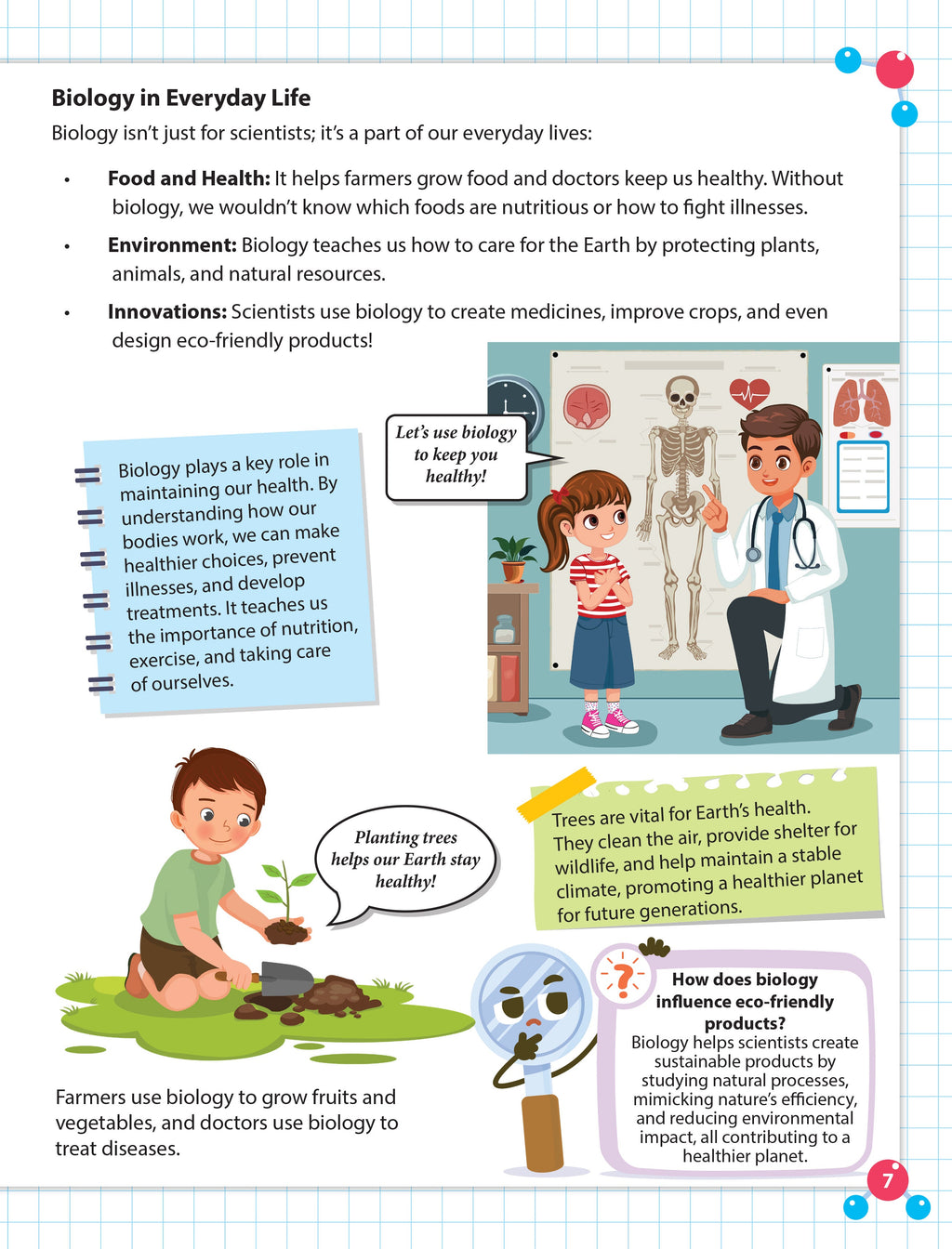 Dreamland Publications Everyday Wonders: Biology for Kids Age 6+ – Fun Facts and Exciting Activities About Living Things - Distacart