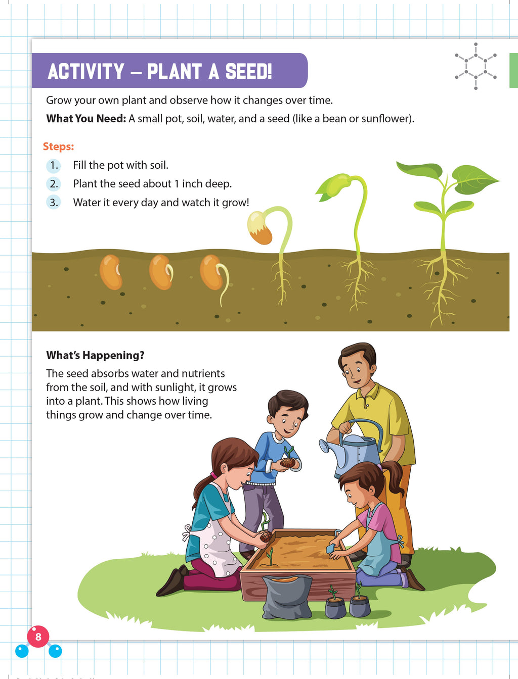 Dreamland Publications Everyday Wonders: Biology for Kids Age 6+ – Fun Facts and Exciting Activities About Living Things - Distacart