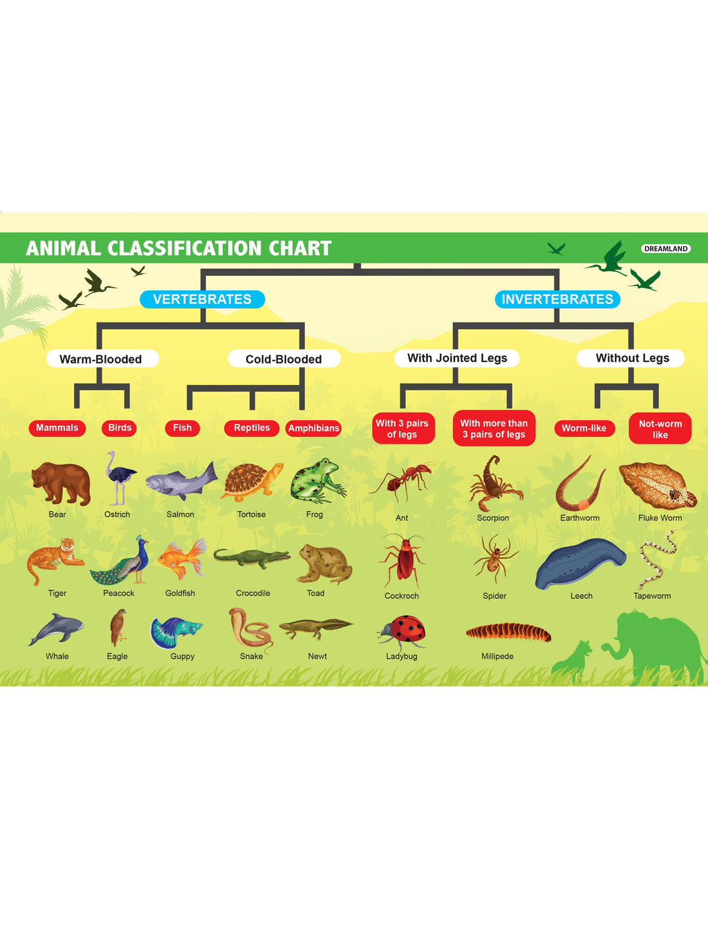 Dreamland Publications Everyday Wonders: Biology for Kids Age 6+ – Fun Facts and Exciting Activities About Living Things - Distacart