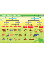 Dreamland Publications Everyday Wonders: Biology for Kids Age 6+ – Fun Facts and Exciting Activities About Living Things - Distacart