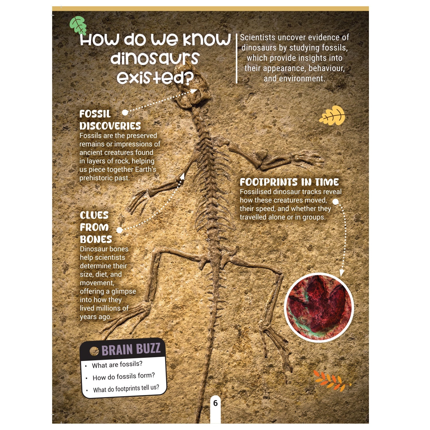 Dreamland Publications Factopedia: Dino Discovery – Fascinating Dinosaur Facts for Kids Age 6+ | Learn About Prehistoric Giants with Fun, Easy-to-Understand Info - Distacart