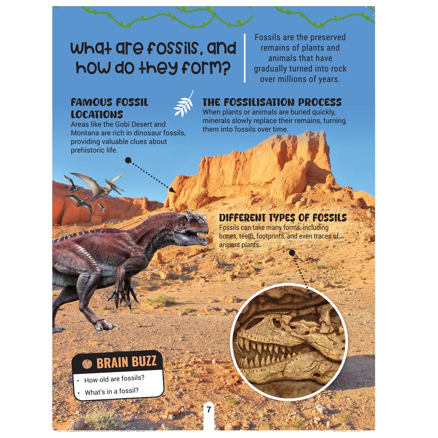 Dreamland Publications Factopedia: Dino Discovery – Fascinating Dinosaur Facts for Kids Age 6+ | Learn About Prehistoric Giants with Fun, Easy-to-Understand Info - Distacart