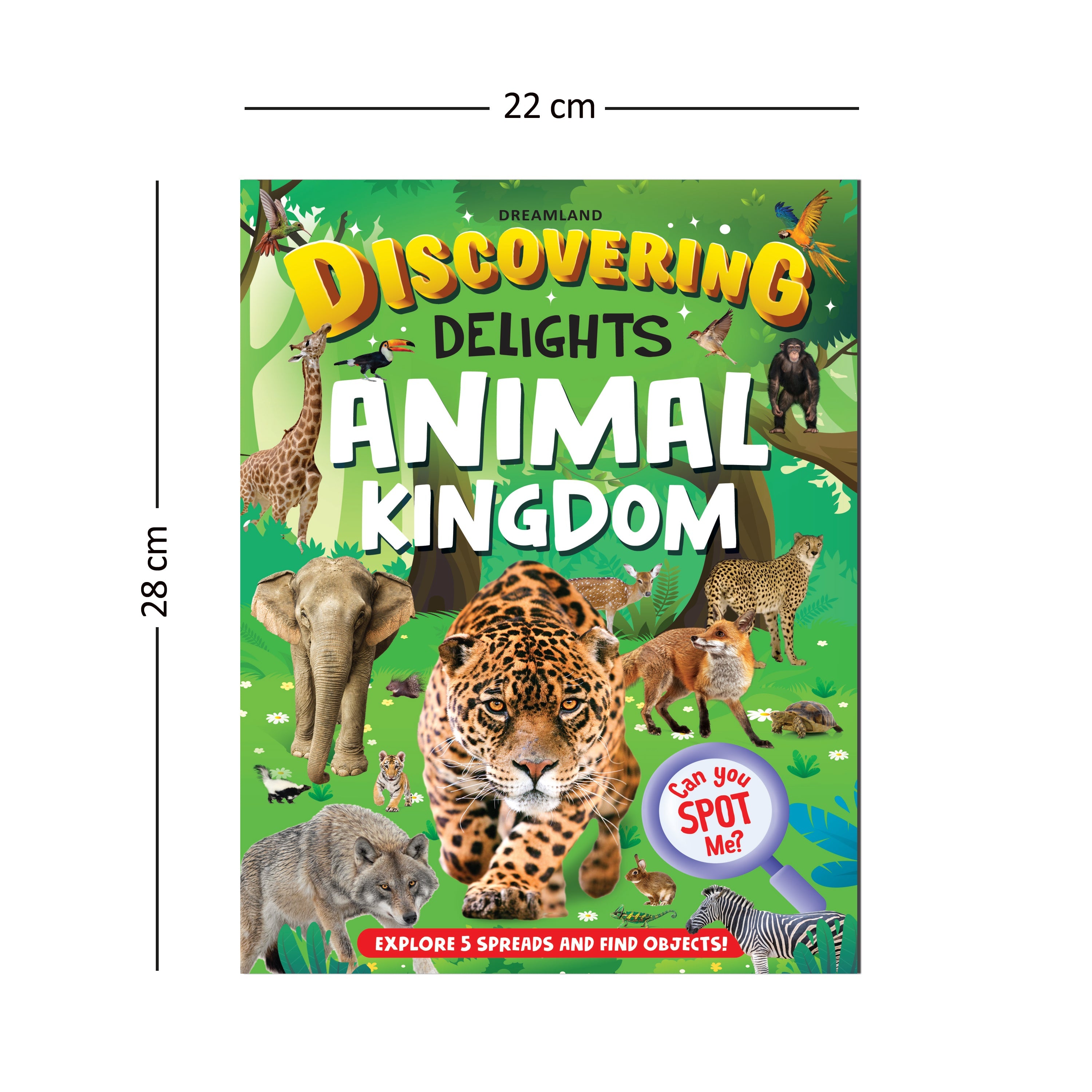 Dreamland Publications Animal Kingdom Discovering Delights Flap Book for Kids Age 4 - 10 years - Distacart