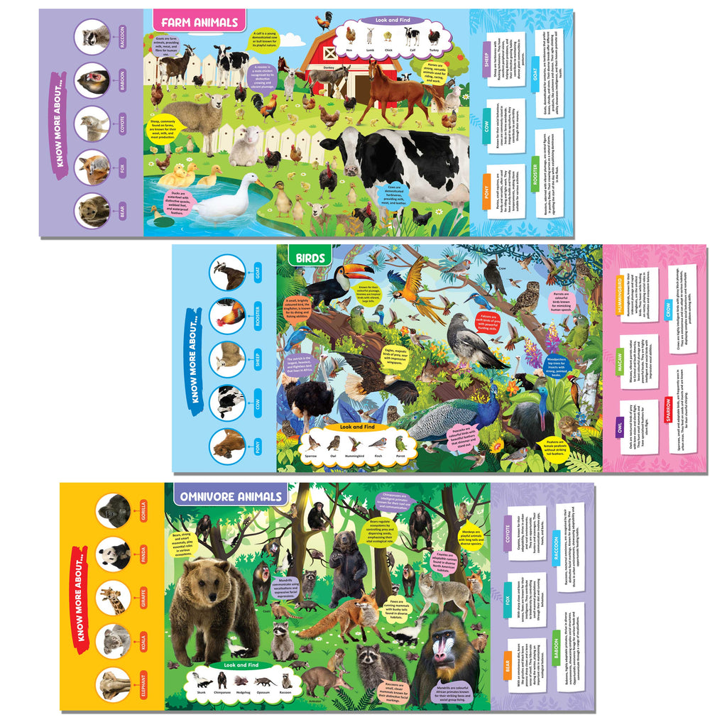 Dreamland Publications Animal Kingdom Discovering Delights Flap Book for Kids Age 4 - 10 years - Distacart