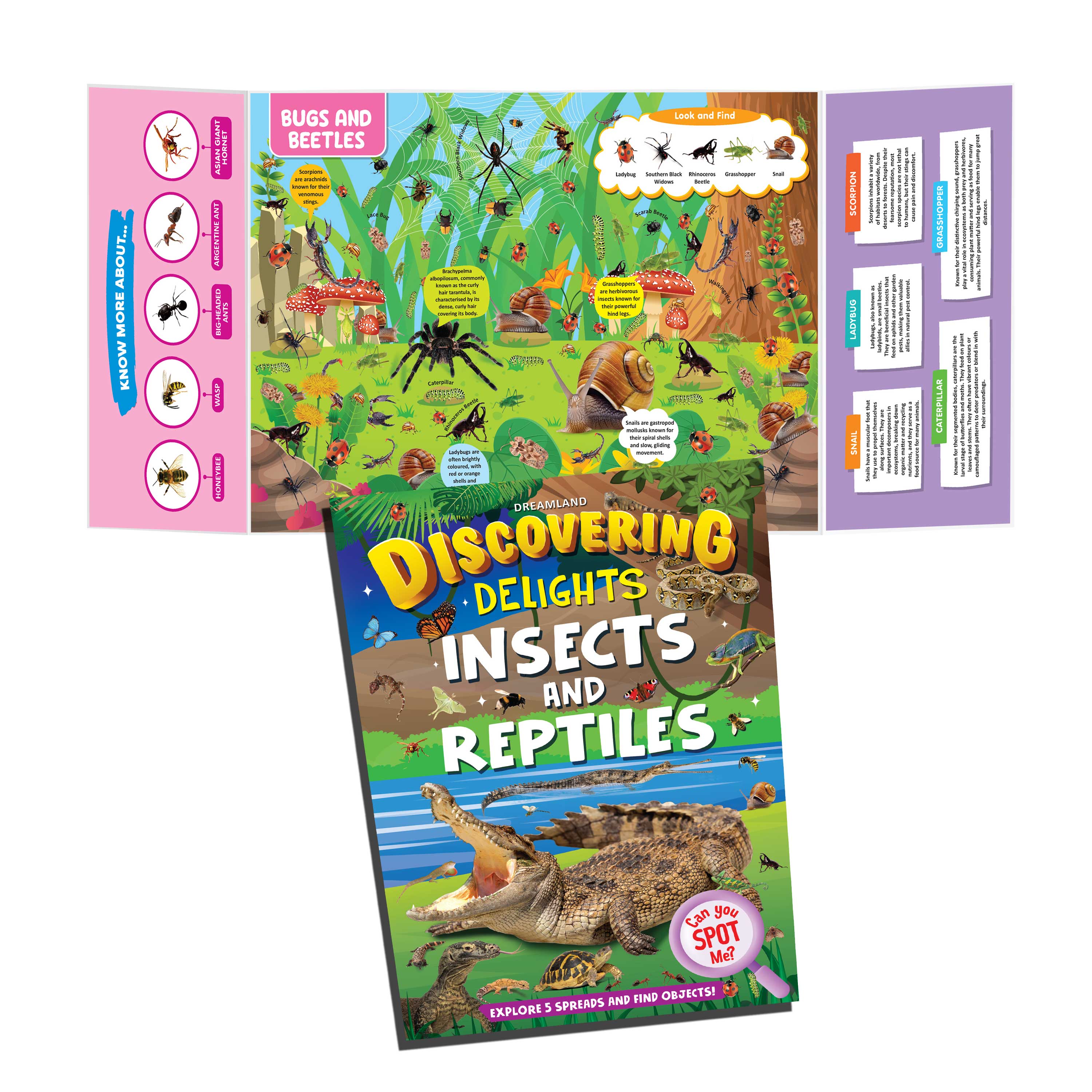 Dreamland Publications Insects and Reptiles Discovering Delights Flap Book for Kids Age 4 - 10 years - Distacart