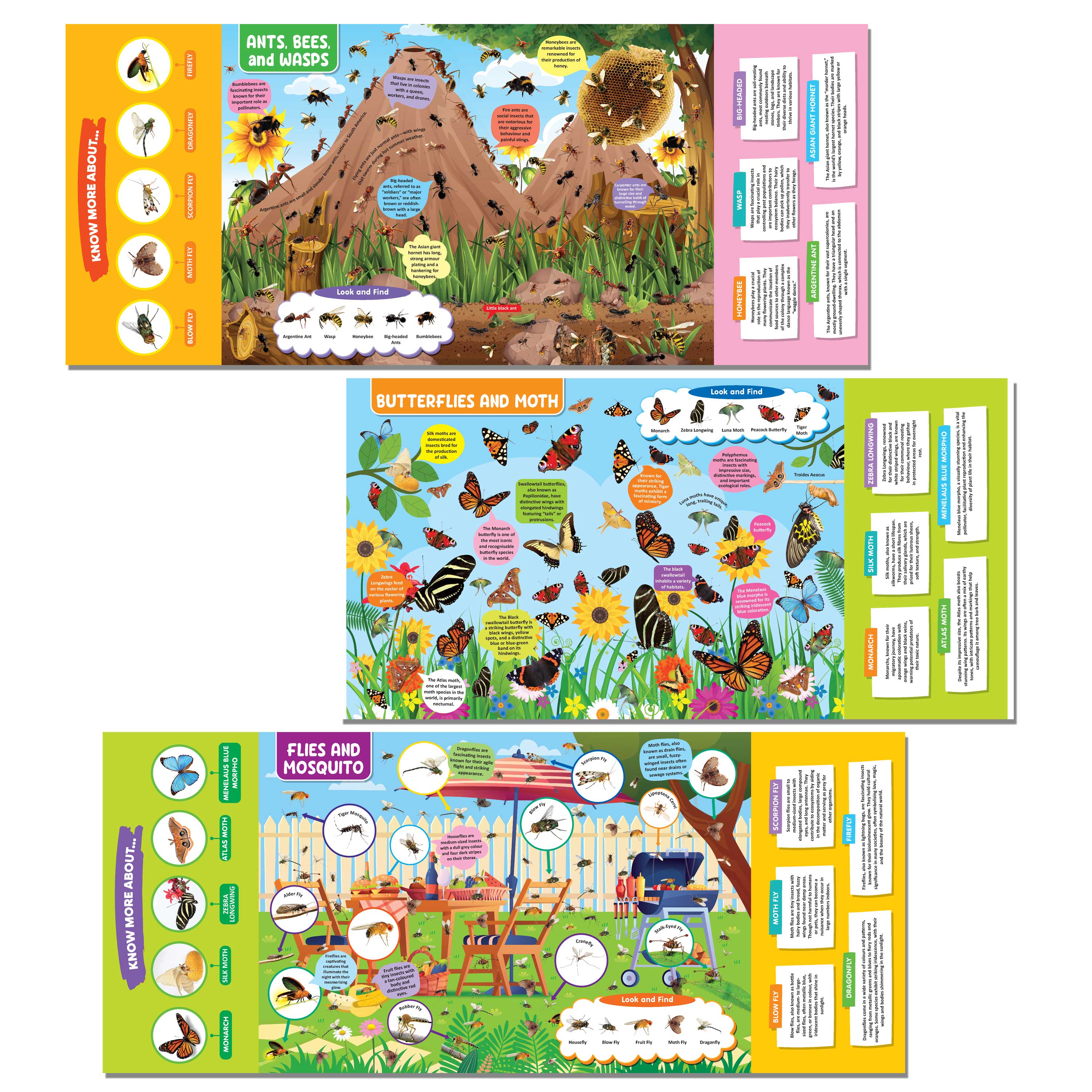 Dreamland Publications Insects and Reptiles Discovering Delights Flap Book for Kids Age 4 - 10 years - Distacart