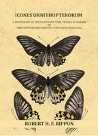 Icones ornithopterorum a monograph of the Papilionine tribe Troides of Hubner or Ornithoptera [bird-wing butterflies] of Boisduval (Vol. 1st) - Gyan Books - Distacart
