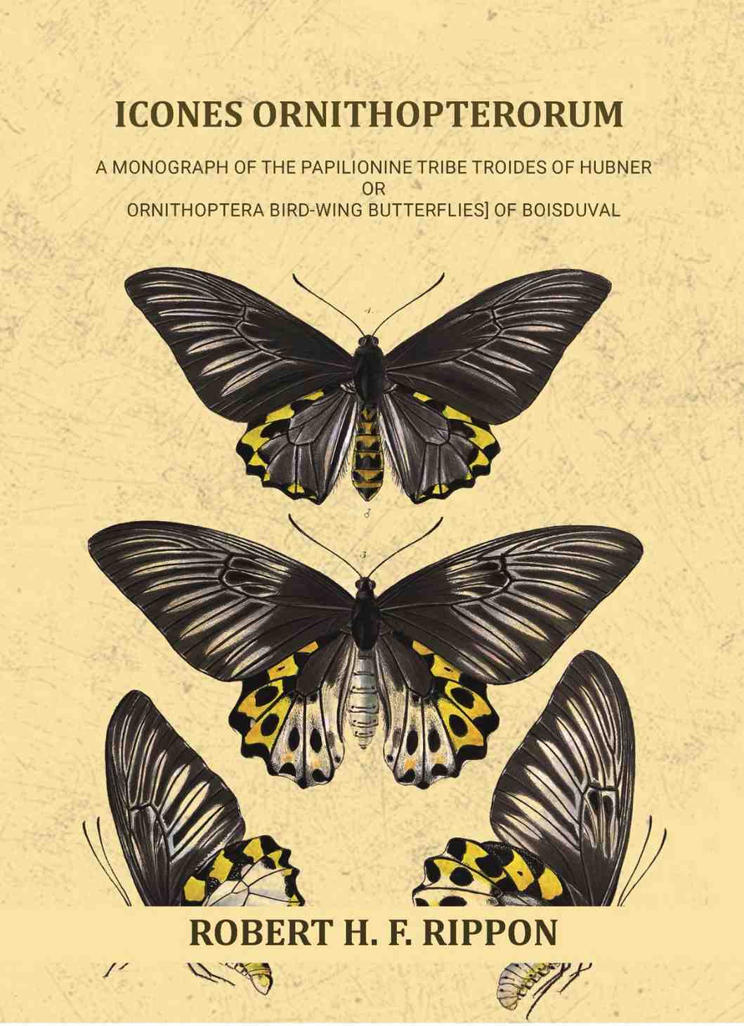 Icones ornithopterorum a monograph of the Papilionine tribe Troides of Hubner or Ornithoptera [bird-wing butterflies] of Boisduval (Vol. 1st) - Gyan Books - Distacart