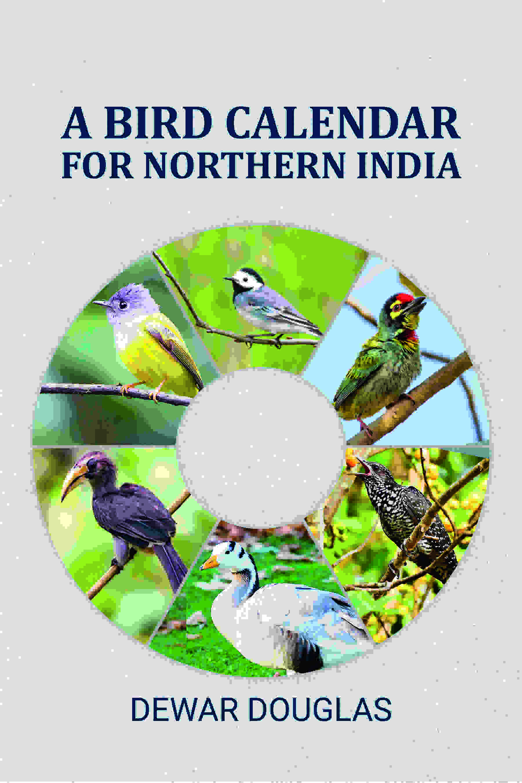A bird calendar for northern India - Gyan Books - Distacart